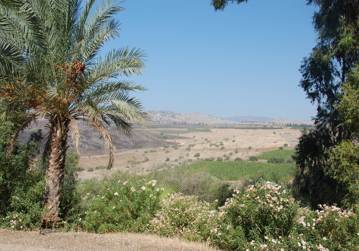 Discover Palestine -  Begegnungsformat für junge Menschen