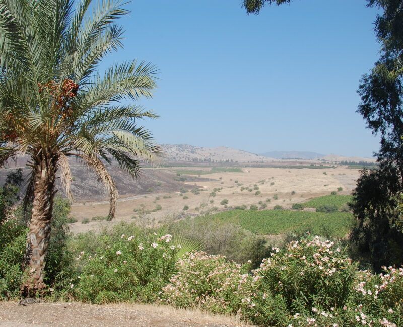 Discover Palestine -  Begegnungsformat für junge Menschen