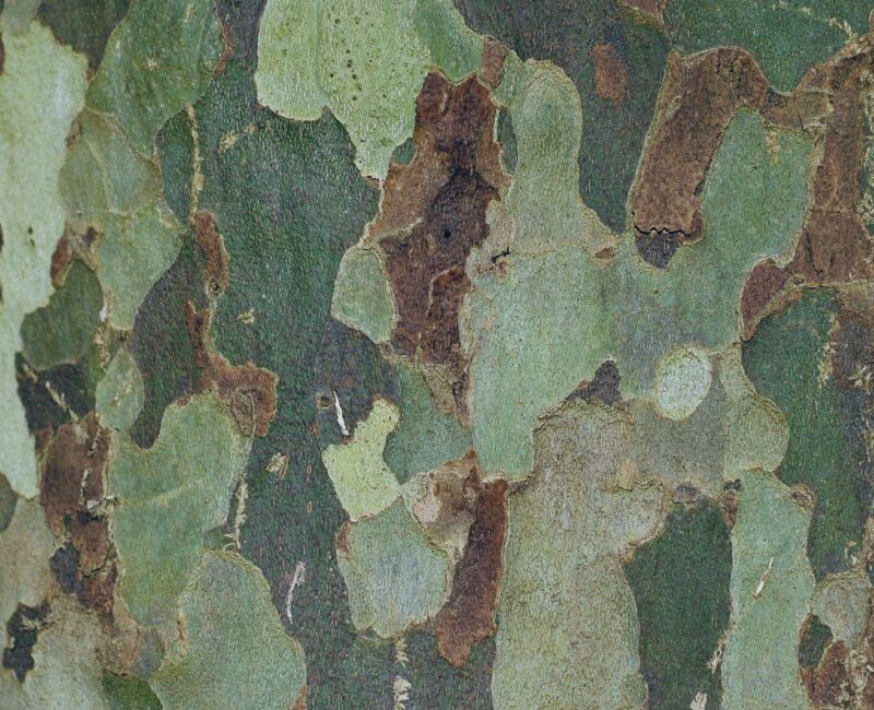 aej regt eine breite, öffentliche Wehrdienstdebatte an und setzt auf starke Freiwilligendienste