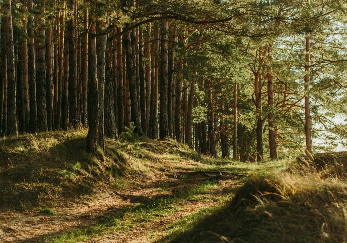 Praxistag Erlebnispädagogik im christlichen Kontext